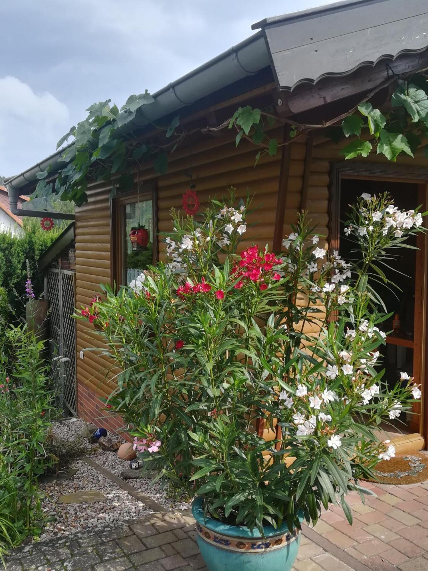 Ferienwohnung Edersonne Hemfurth-Edersee Exterior photo